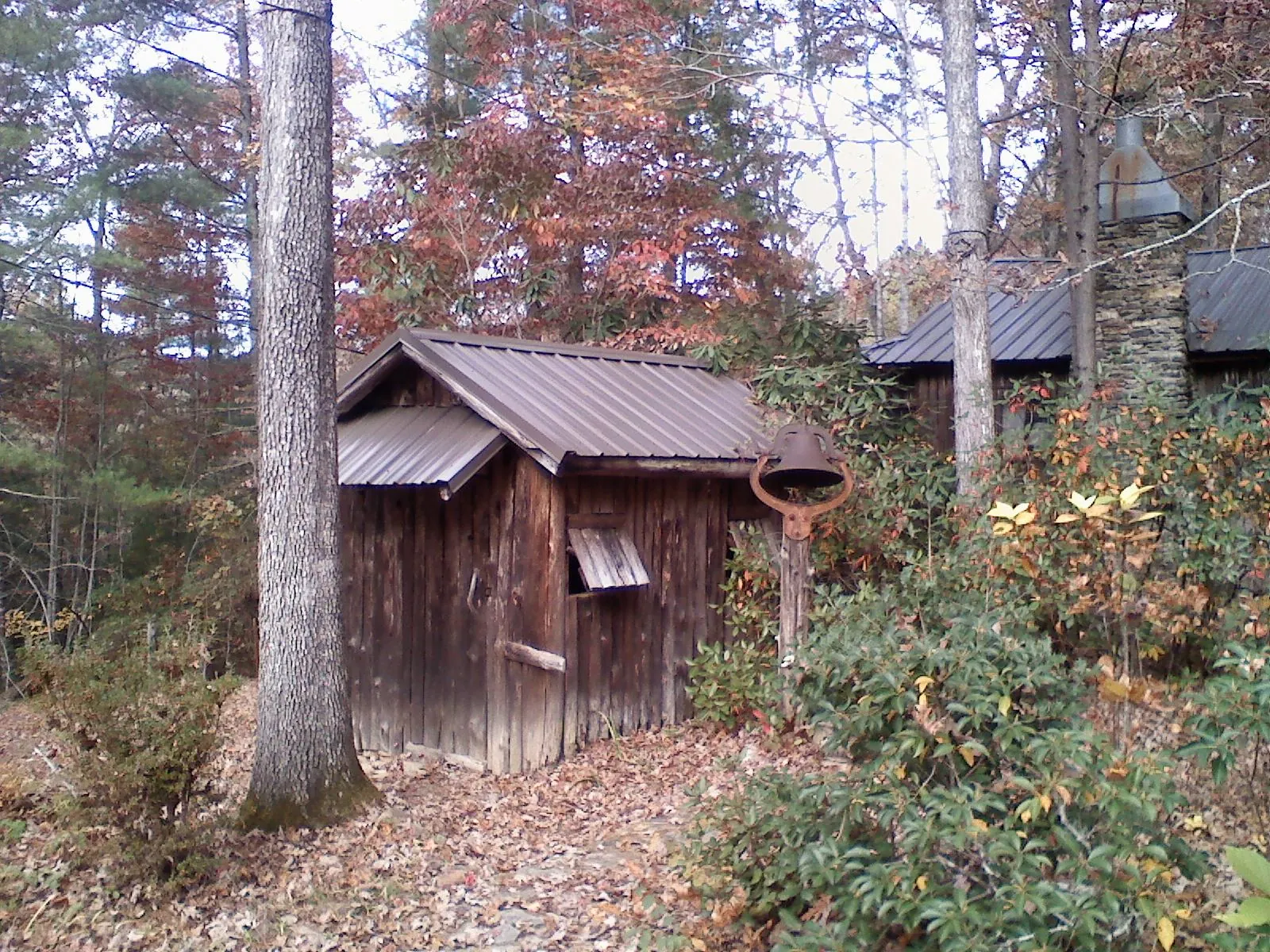 Small metal roof on a rough sawn shed in the woods in Church Road